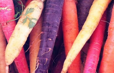 PLANT AND VEGETABLE PIGMENTS